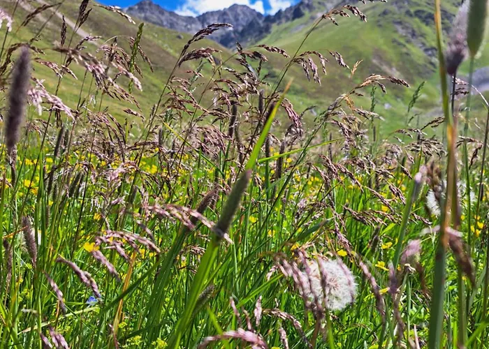 Am Brunnen Апартаменты