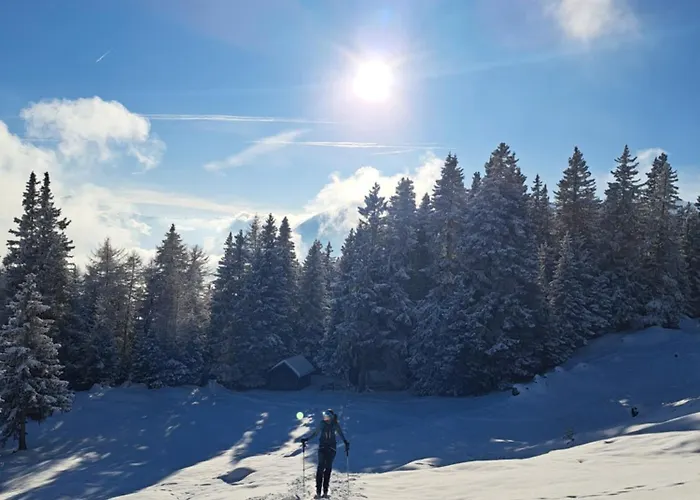 Апартаменты Am Brunnen Рид-им-Оберинталь