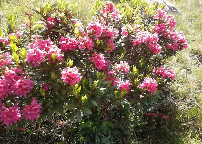 Am Brunnen Рид-им-Оберинталь